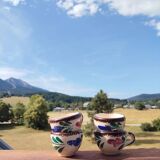 shooters - miniature liqueur glasses