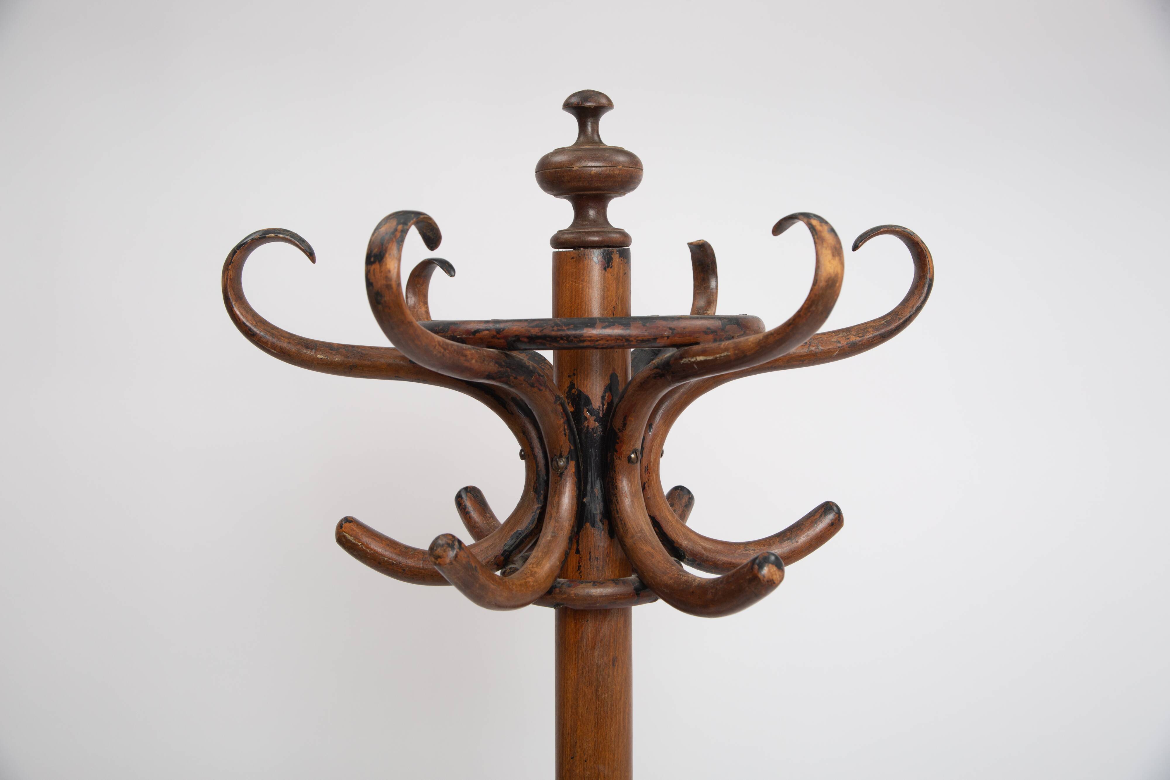 Coat rack parrot curved wood 1900