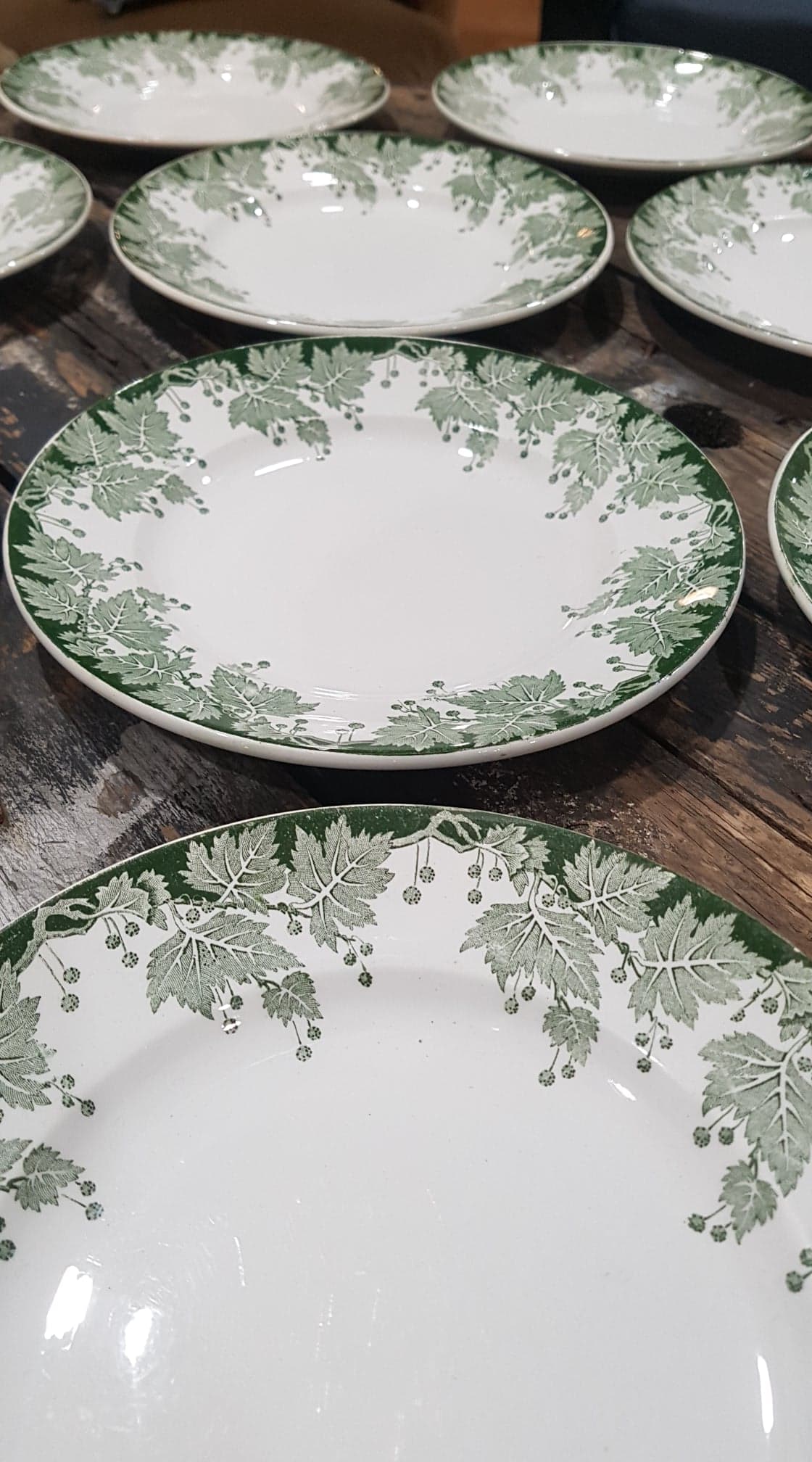 Lot of 6 plates Saint-Amand and Hamage model Platane