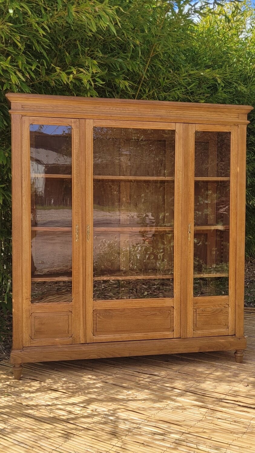 Showcase library - renovated