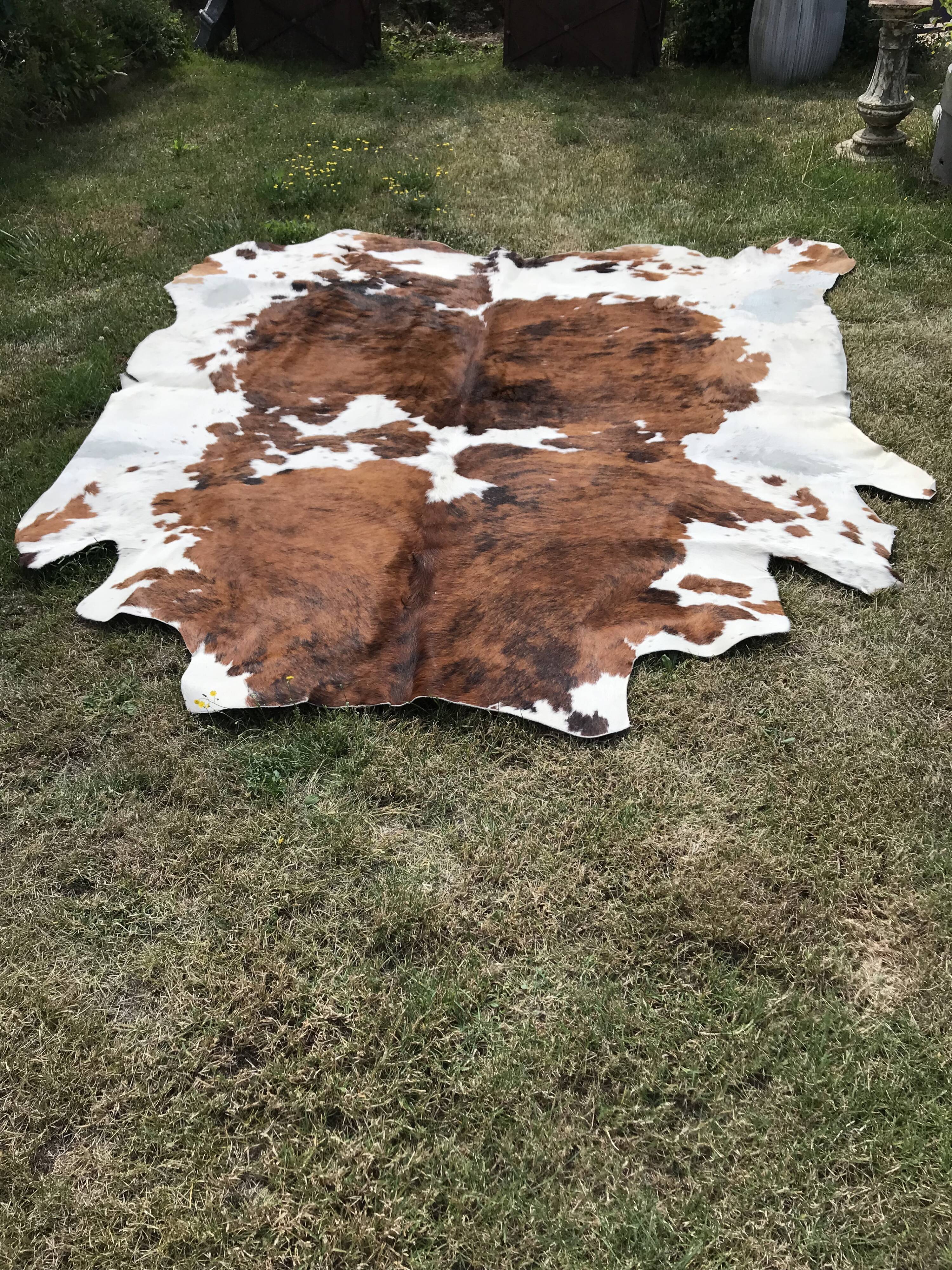 Vintage two-tone cowhide carpet