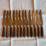 Box of 12 fine table knives from the late 19th century in horn.