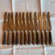 Box of 12 fine table knives from the late 19th century in horn.
