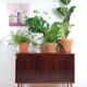 Danish vintage furniture with rosewood sliding doors Hundevad