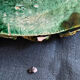 Old Hollow Round Plate in Majolica Barbotine Decorated with Bindweed and Nuts