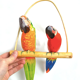 Duo de perroquets en bois