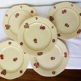 5 flat plates from the Moulin des Loups and Hamage model Paul 220539