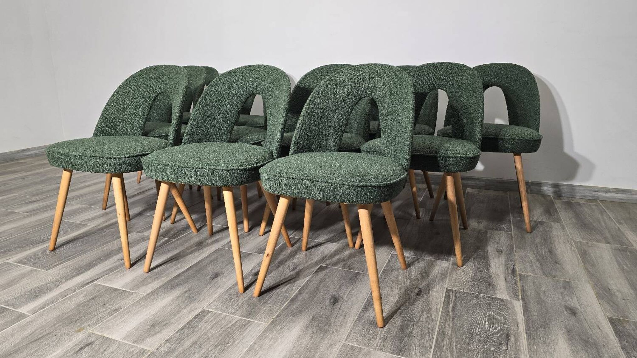 Dining Chairs by Antonin Suman, 1960s, Set of 12