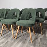 Dining Chairs by Antonin Suman, 1960s, Set of 12