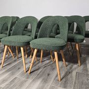 Dining Chairs by Antonin Suman, 1960s, Set of 12