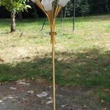 Vintage floor lamp in gilded brass with 5 glass tulips from the 50s