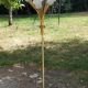 Vintage floor lamp in gilded brass with 5 glass tulips from the 50s