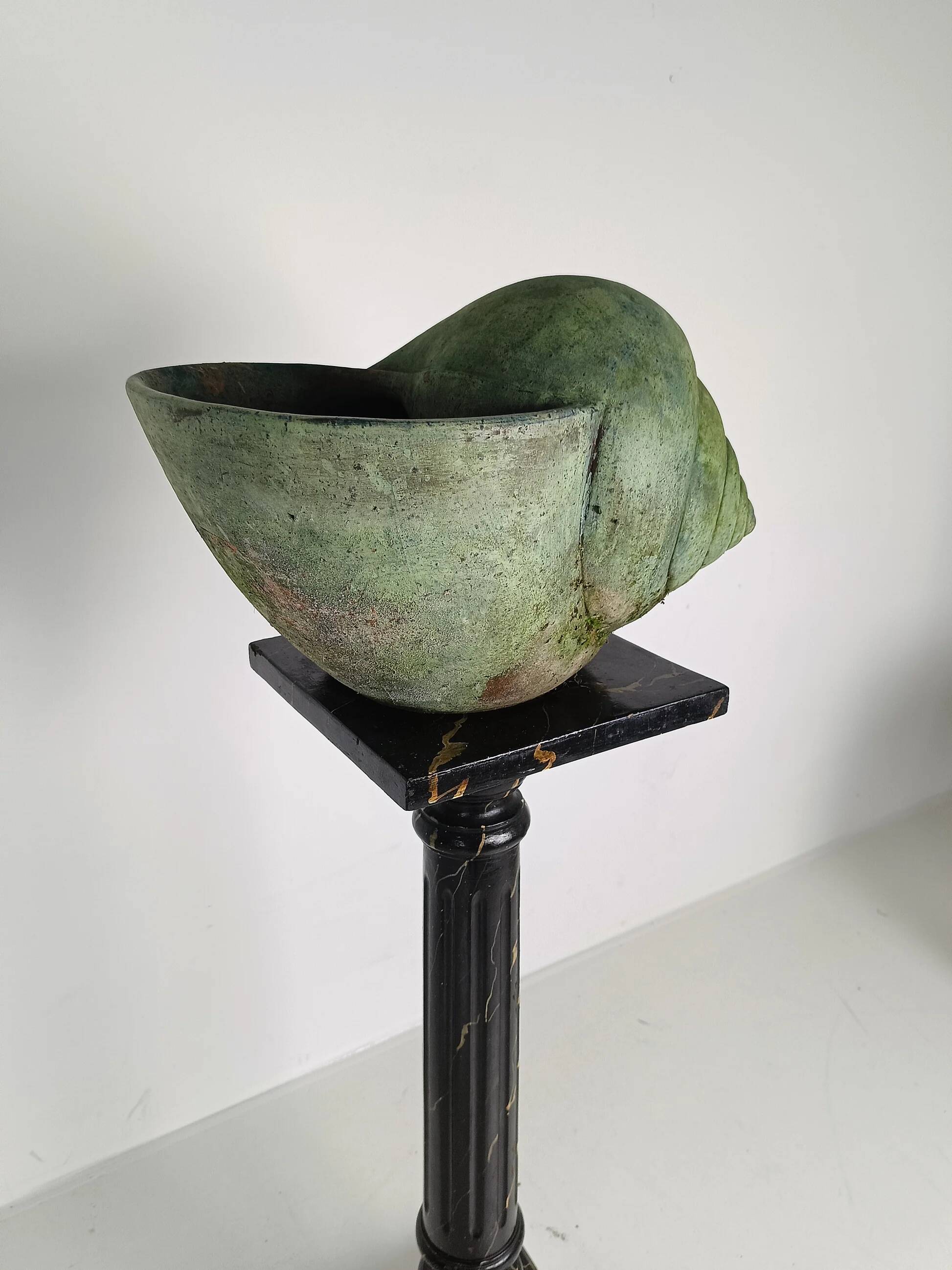 Beautiful terracotta cochlea with amazing patina