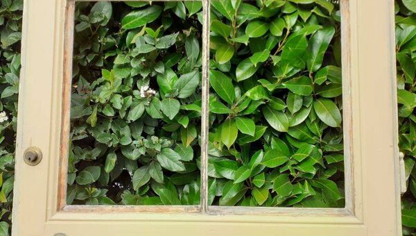 Porte vitrée communication h221,5x90cm ancienne 4 carreaux sans vitrage intérieure