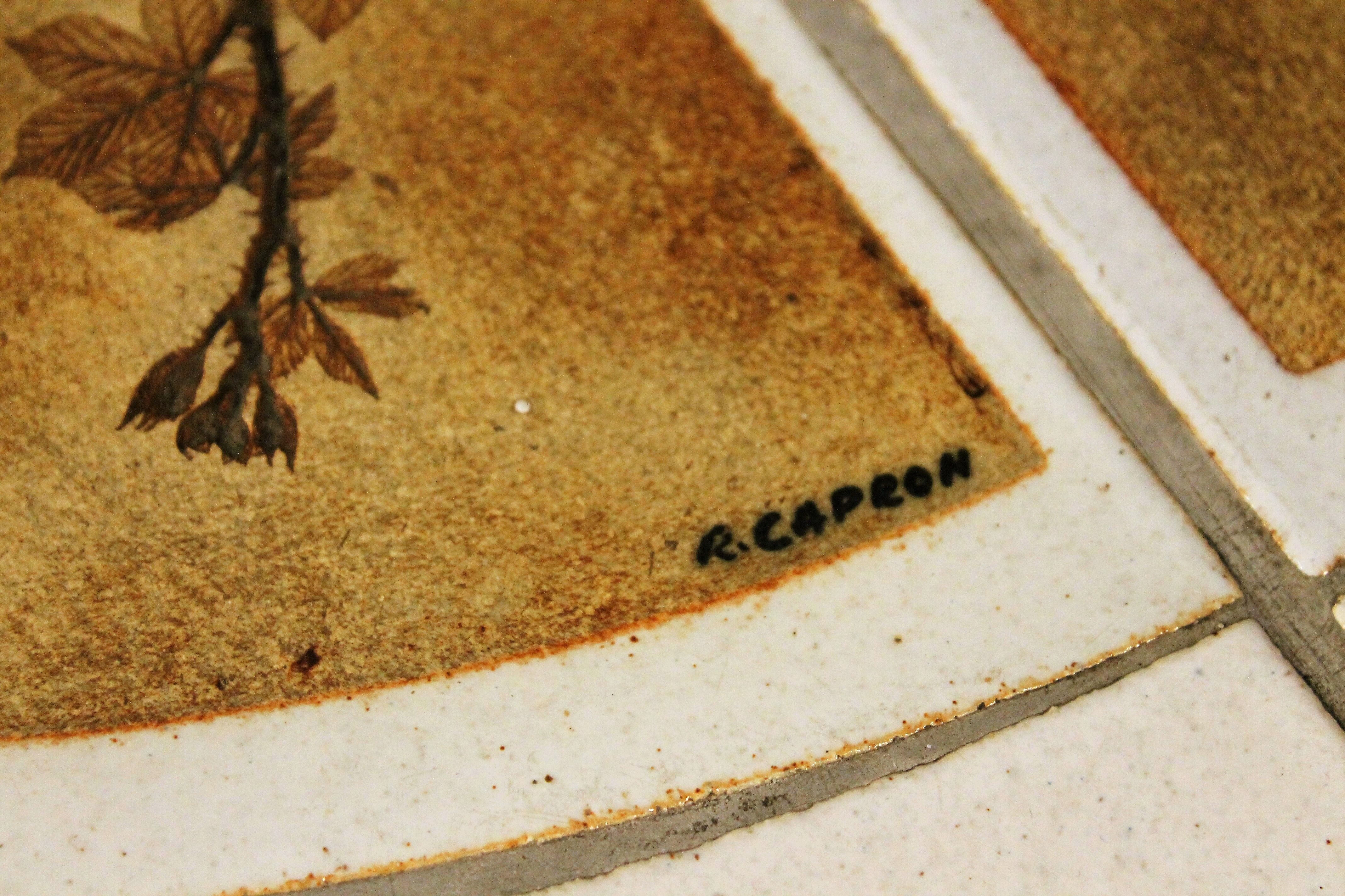 Coffee table "Herbarium" by Roger Capron 1960s