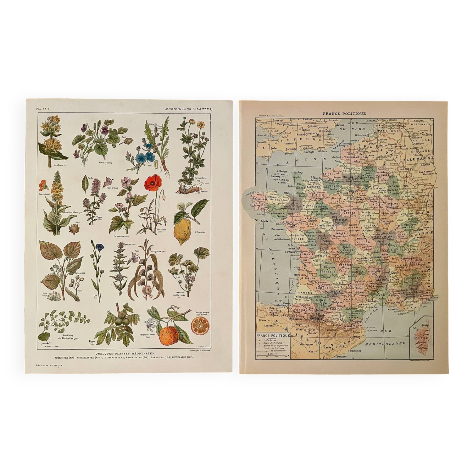Reserved Noémie - Set of 2 illustrated boards from the 20th century.