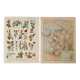 Reserved Noémie - Set of 2 illustrated boards from the 20th century.