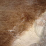 Tanned goatskin of 1970, ideal descent of bed 55x100cm