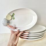 Vintage Italian majolica plates, seafood plates.