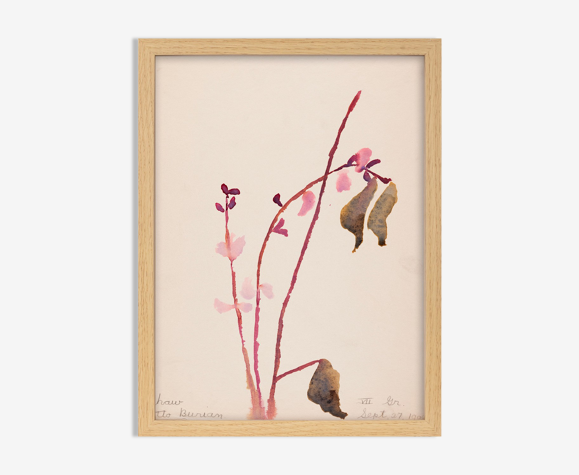 Aquarelle illustration fleurs