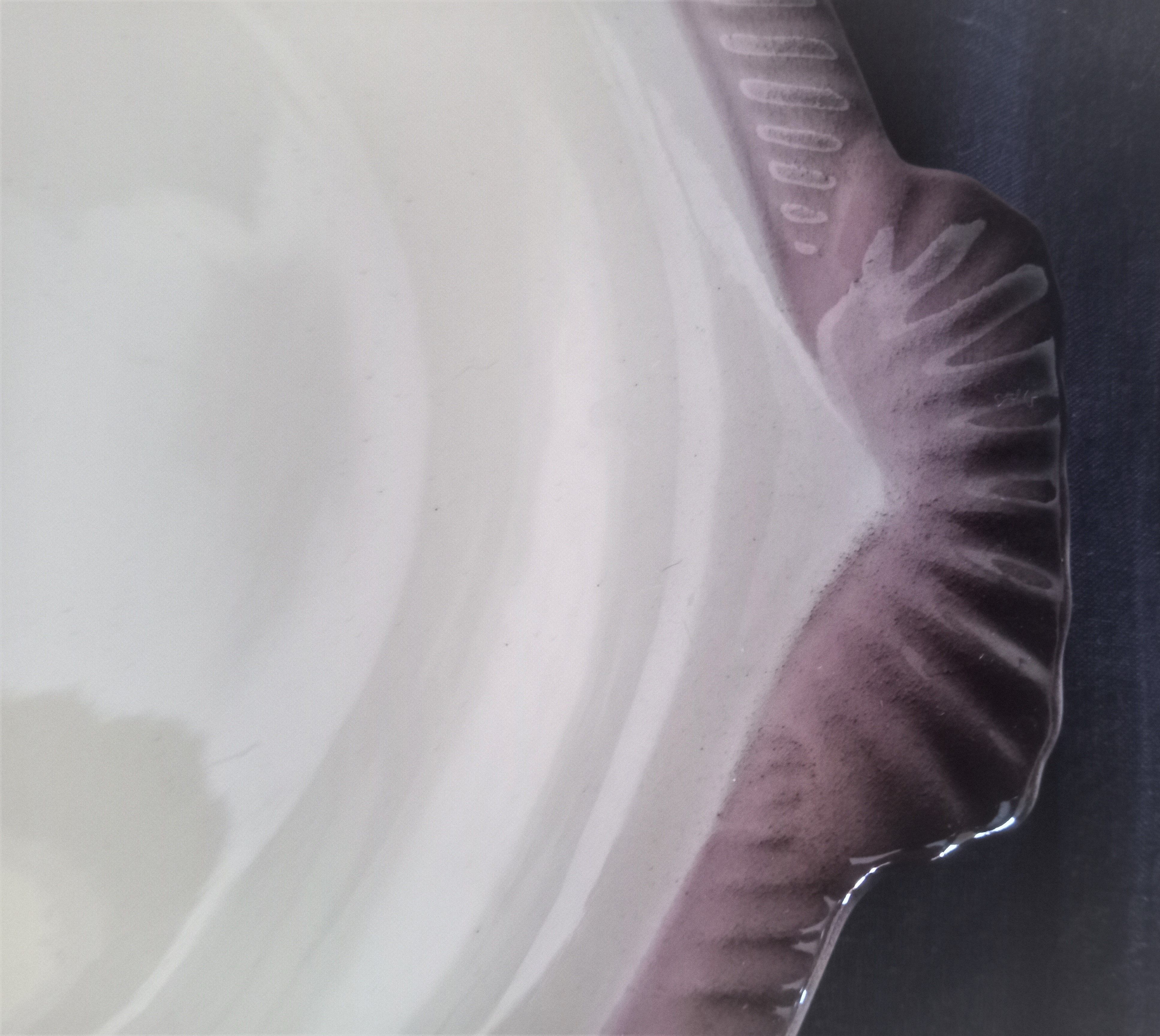 Fish service for 12 people in Longwy ceramic, Copenhagen model, 1960s