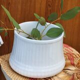 White plant pot