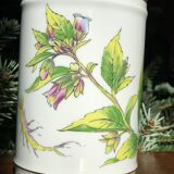 Pharmacy pot "Atropa belladona"