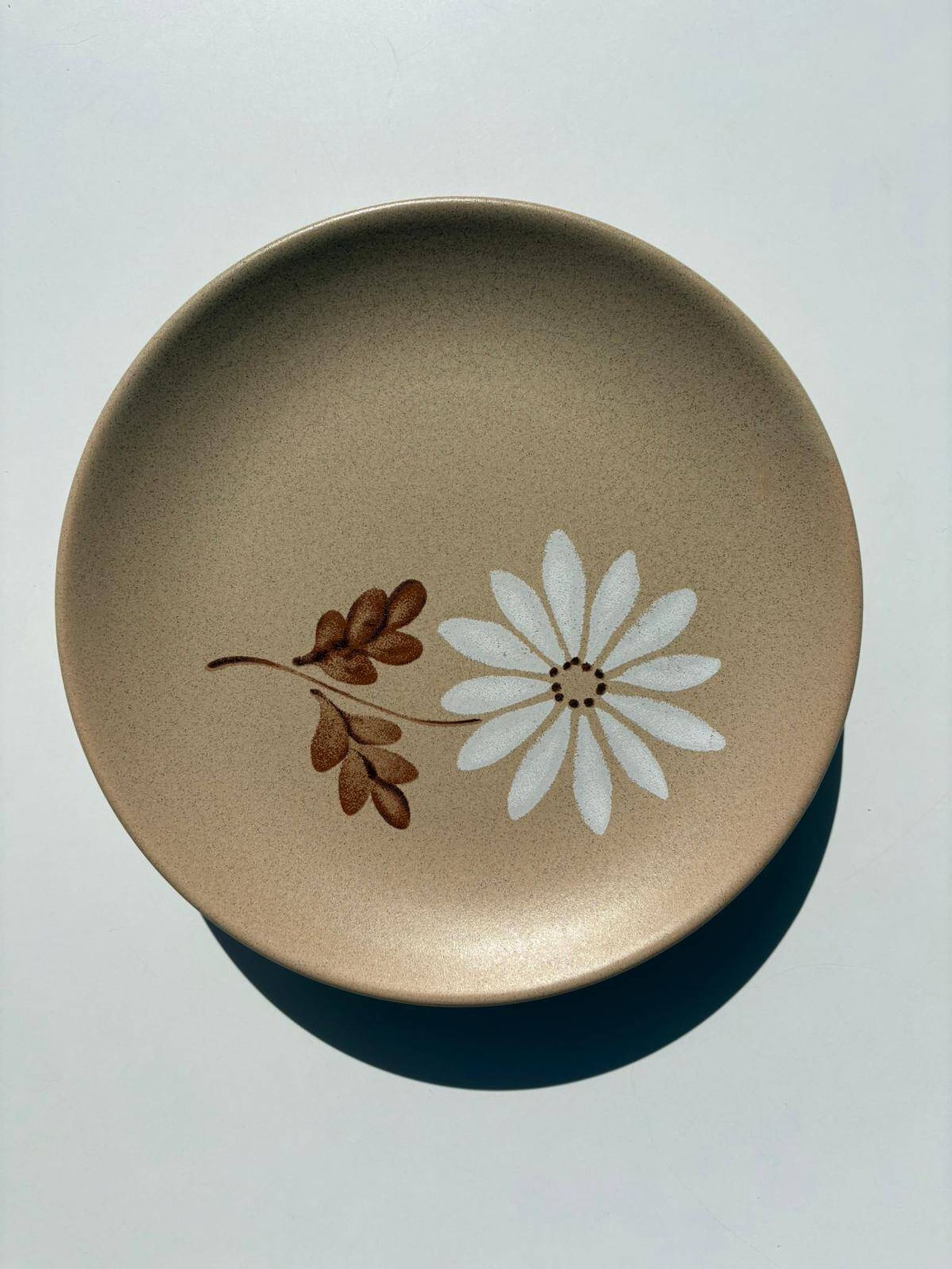 Assiette Vintage Faïence de St Amand – Modèle “Automne”