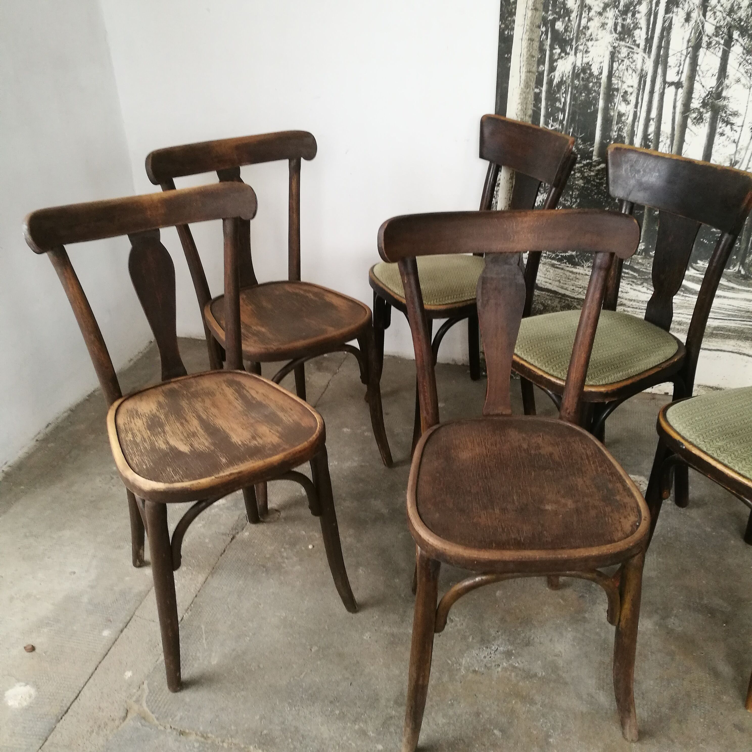 Set de 6 chaises bistrot Thonet