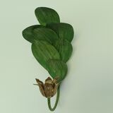 Vintage leaf wall lamp