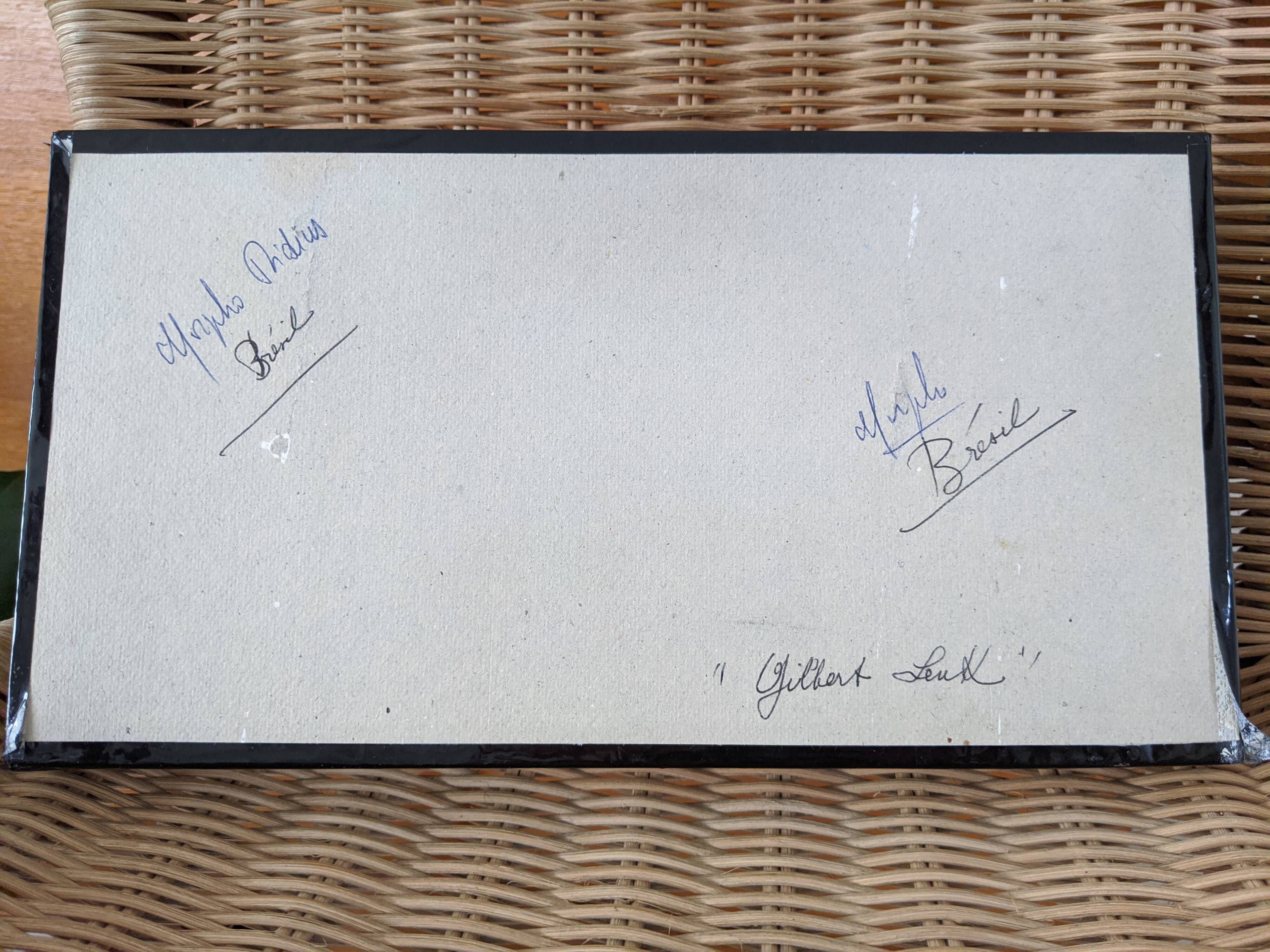 Naturalized butterflies