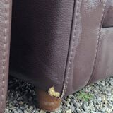 Duvivier toad armchairs