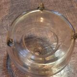 Wasp trap or fly catcher