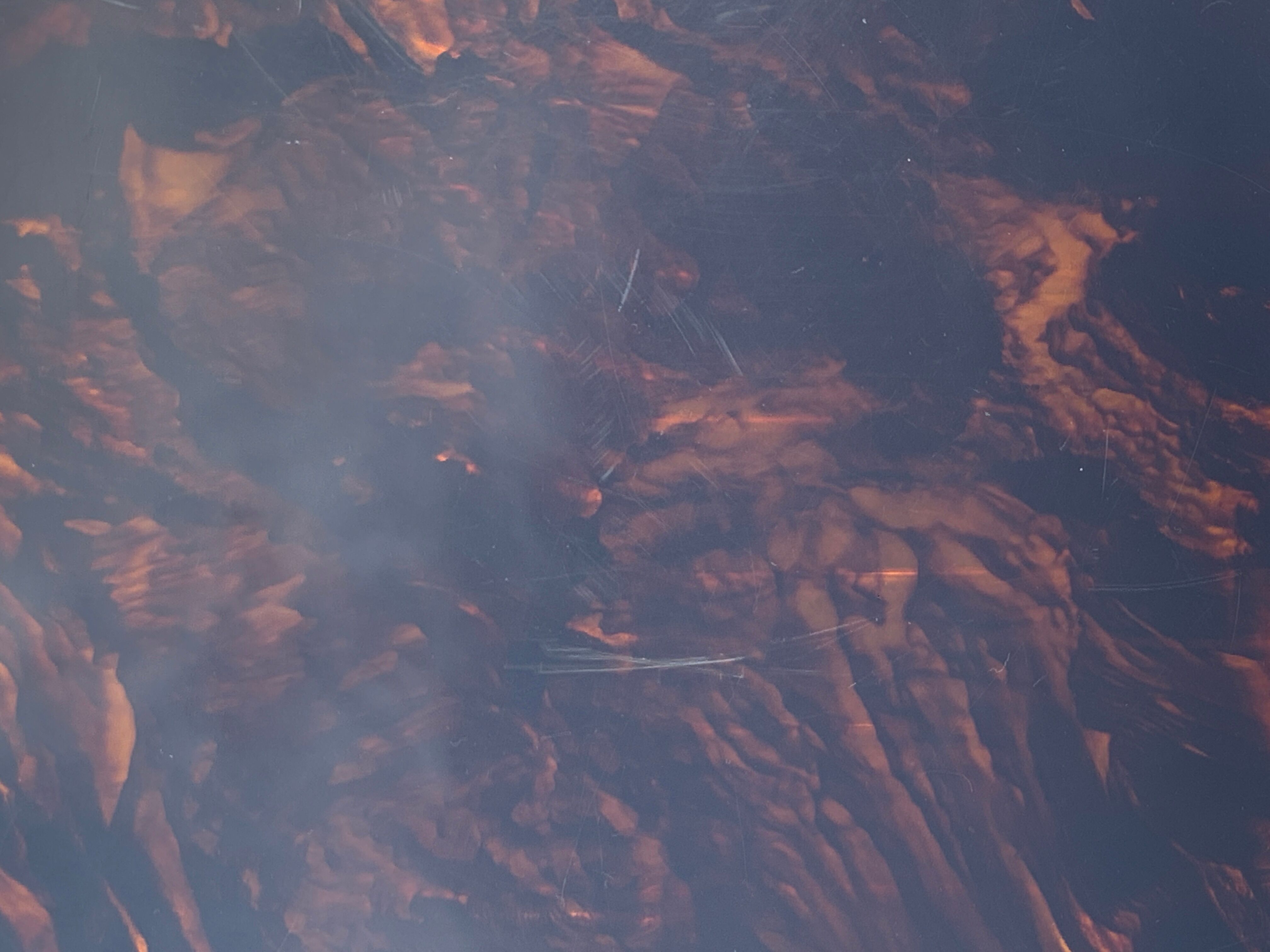 Range records or vinyl range in plexi, turtle scales effect, on wheels, 1970