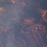 Range records or vinyl range in plexi, turtle scales effect, on wheels, 1970