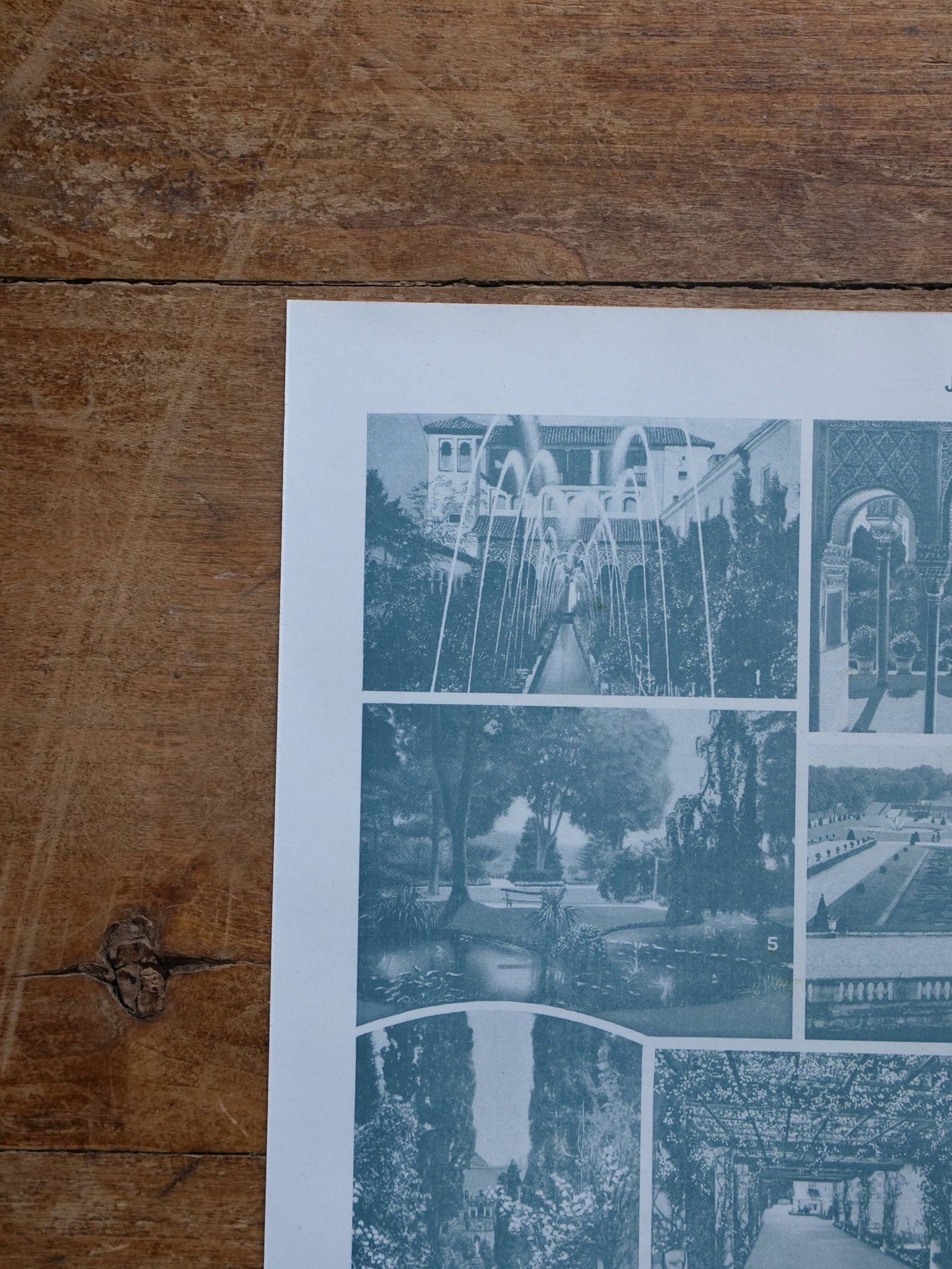 Original lithographs on gardens and ornamental trees