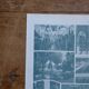 Original lithographs on gardens and ornamental trees