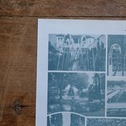 Original lithographs on gardens and ornamental trees