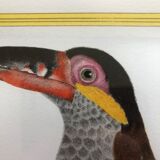 Toucan bird frame