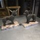 Pair of poodle bookends