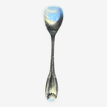 Salt spoon