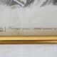 5 framed antique bird engravings