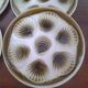 set of 6 oyster plates - Moulin des loups