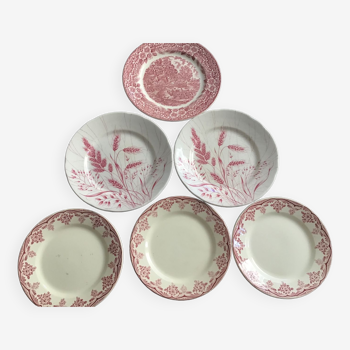 6 assiettes beige et roses France Italie et Angleterre