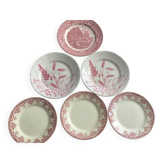 6 assiettes beige et roses France Italie et Angleterre