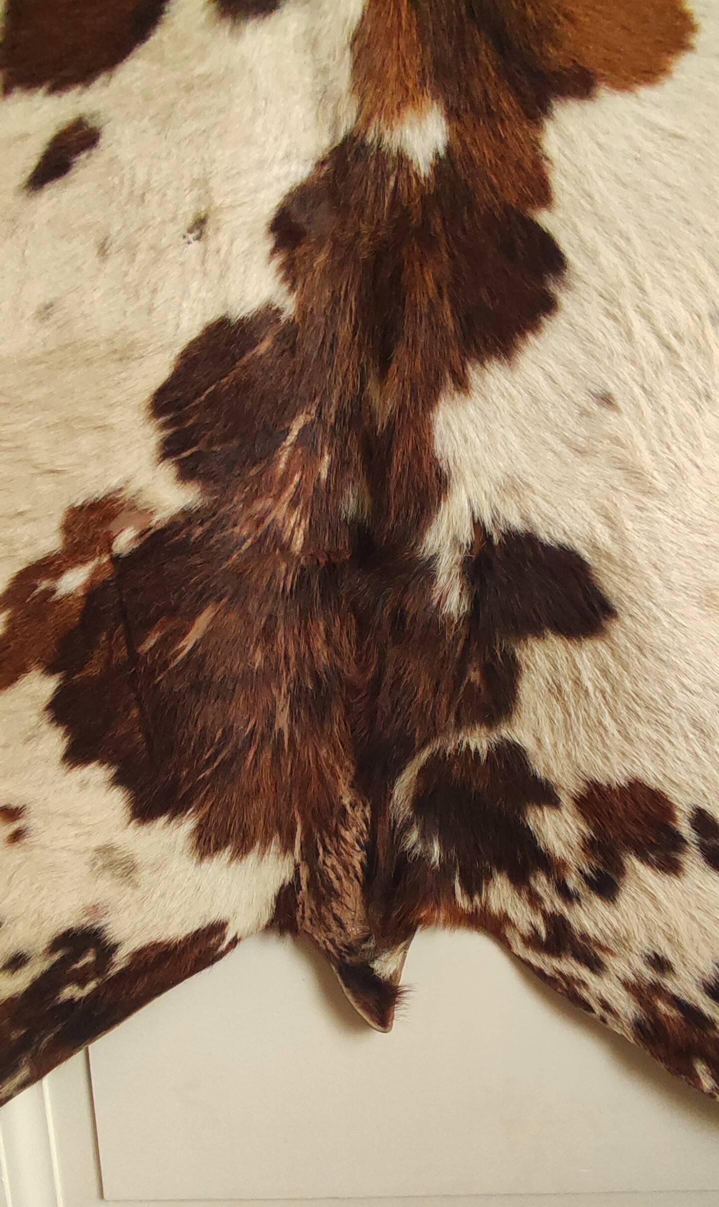 Cowhide rug 1970