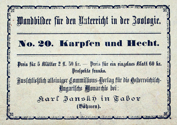 Educational poster, luce, carp, lithograph, Karl Jansky, Böhmen, 1897