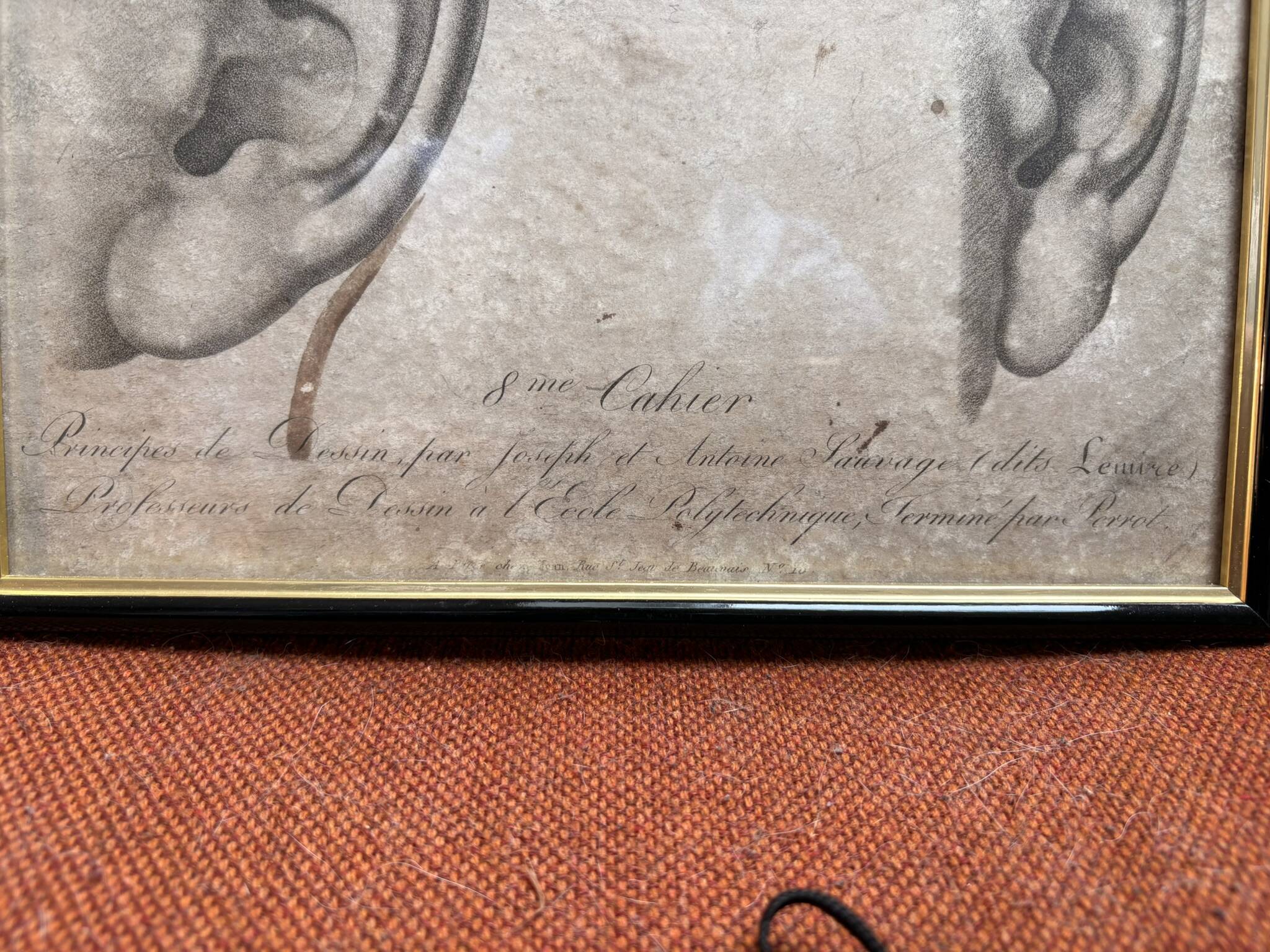 Print Engraving Study Sketch Ear by Lemire Polytechnical School Perrot