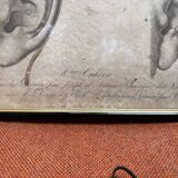 Print Engraving Study Sketch Ear by Lemire Polytechnical School Perrot