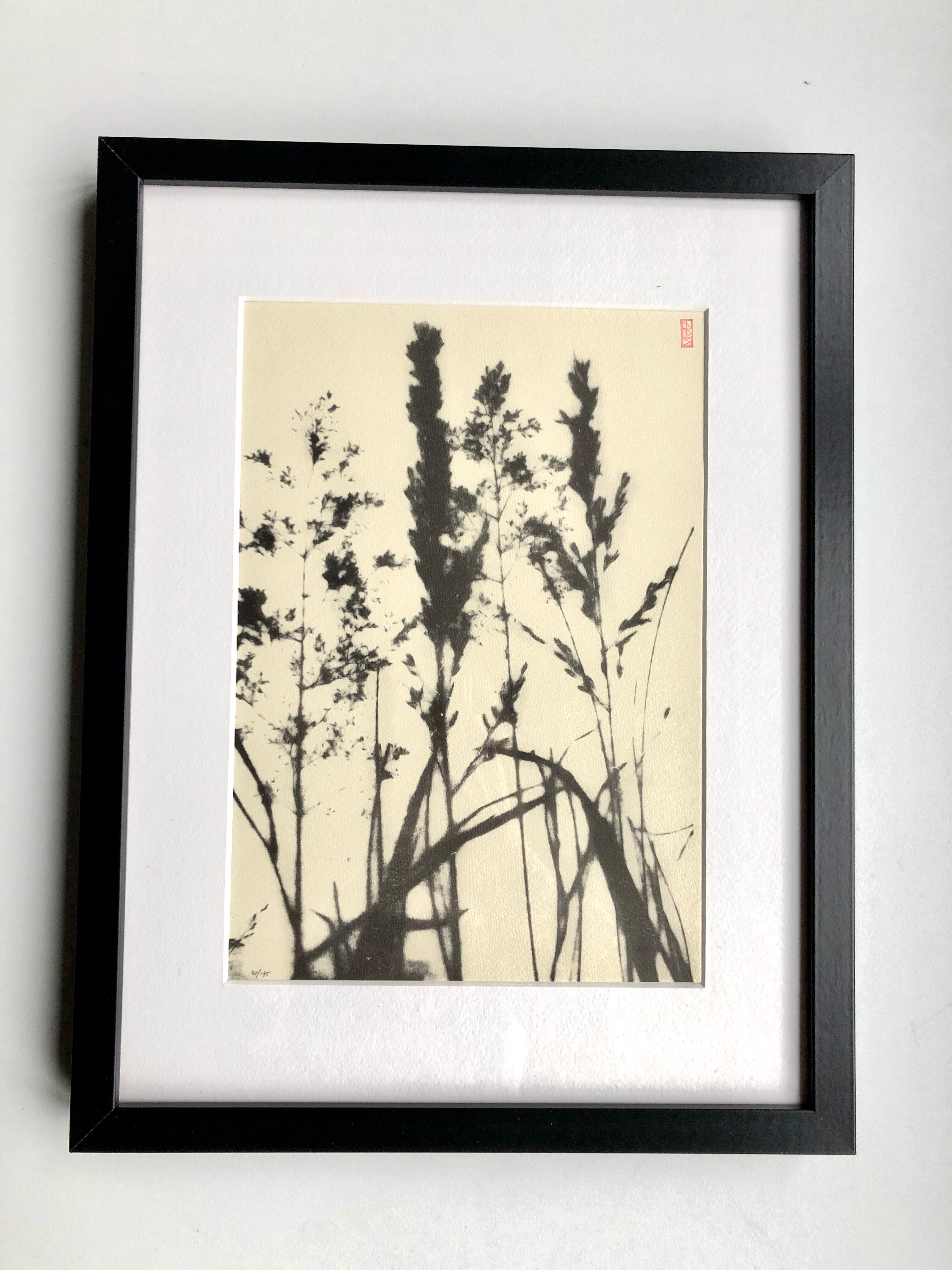 Framed lithograph - extract from the notebook "Les Natugraphies" - Albert de Visscher